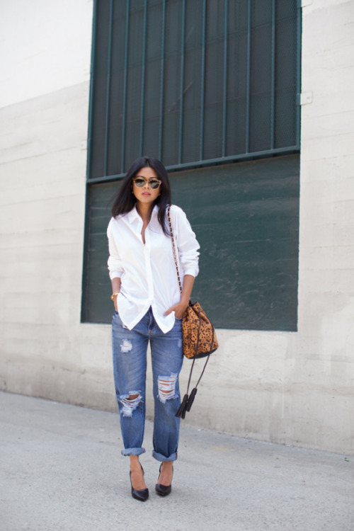 tumblr_nqih66xOc21tnrozuo1_500